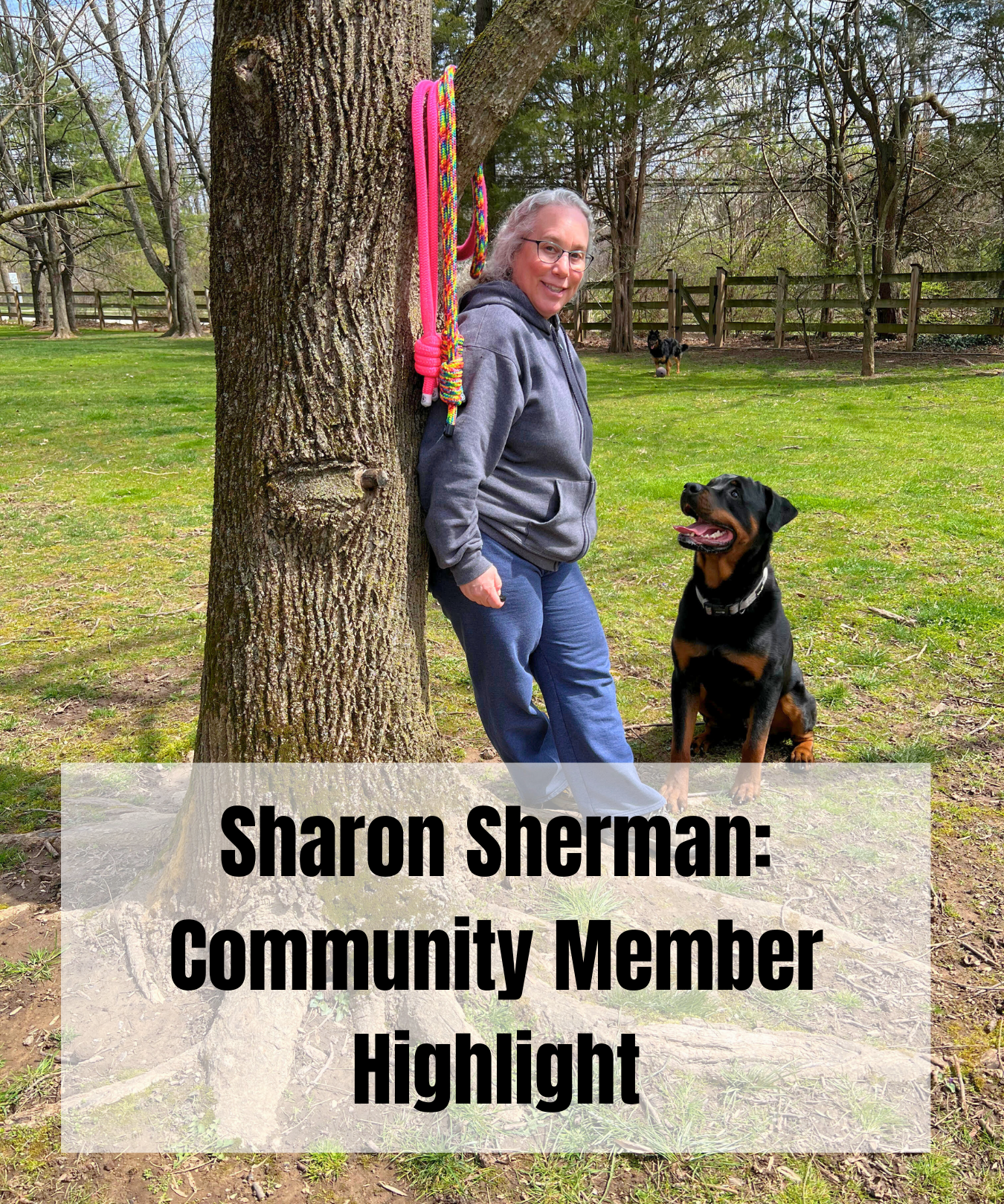 Sharon Sherman: Community Member Highlight - From Acupuncture to Flow