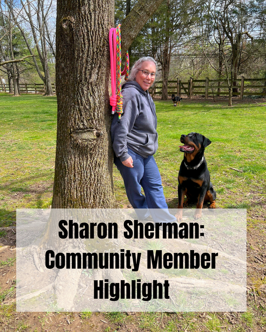 Sharon Sherman: Community Member Highlight - From Acupuncture to Flow