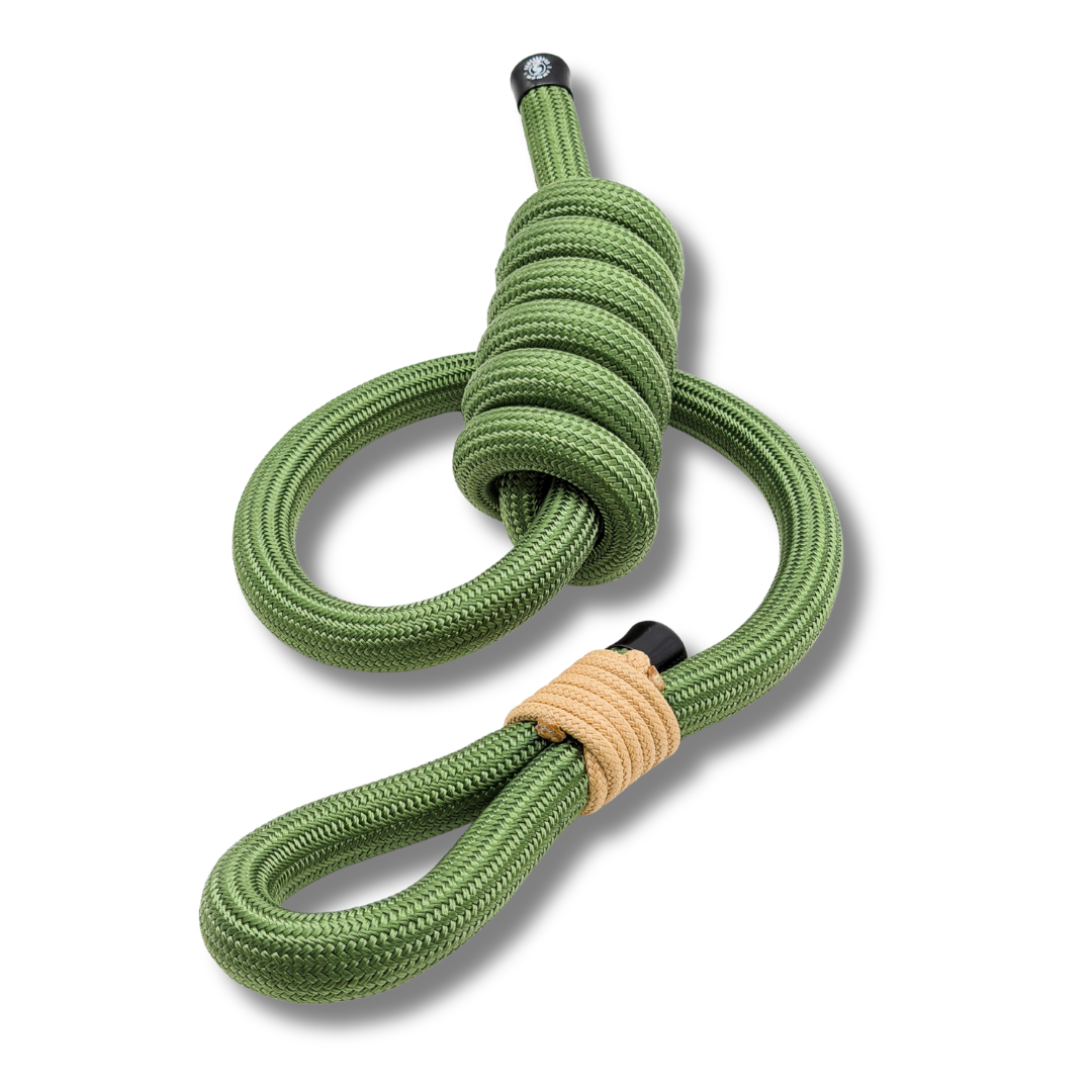 1_ea6df3d8-d17e-4785-a31a-8266ca576ac0.png