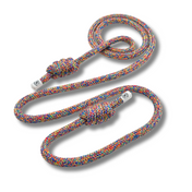 Daytripper (Standard Size)